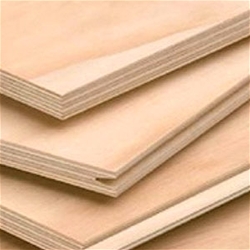 4x8 3/4" Arauco AC Plywood